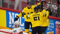 SWE.jpg