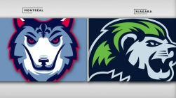Lions3.jpg